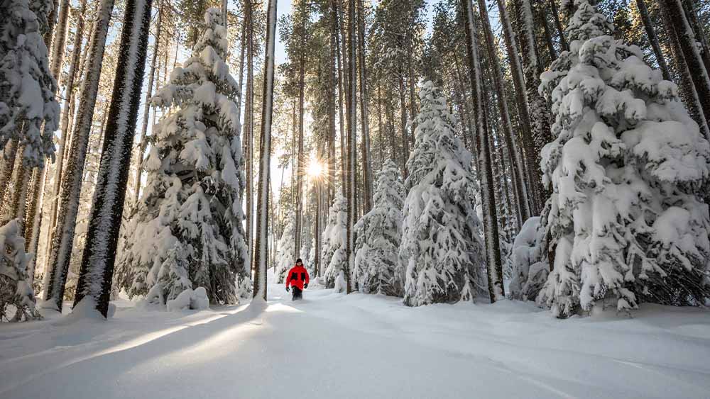 Booking a Campsite Sask Parks