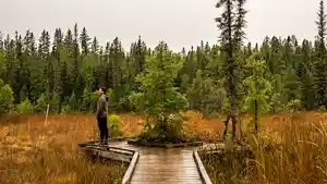 Things to Do in Lac La Ronge | Sask Parks