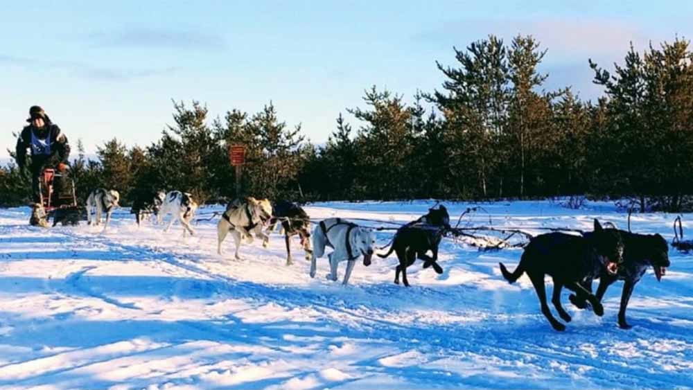 Makwa Lake Provincial Park Sask Parks