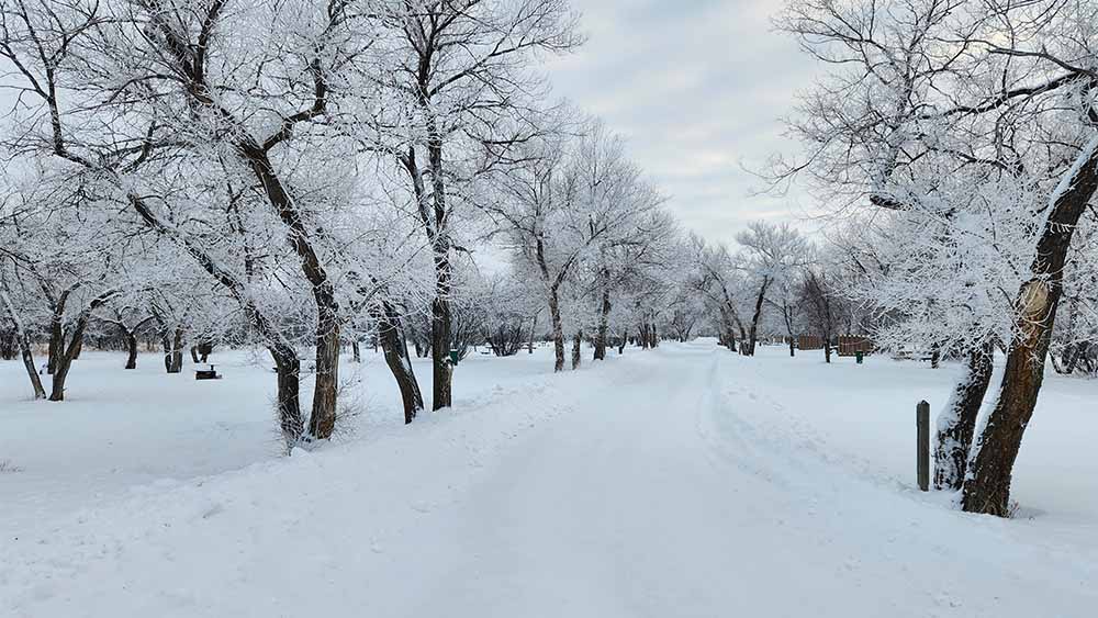 The Battlefords Provincial Park Sask Parks